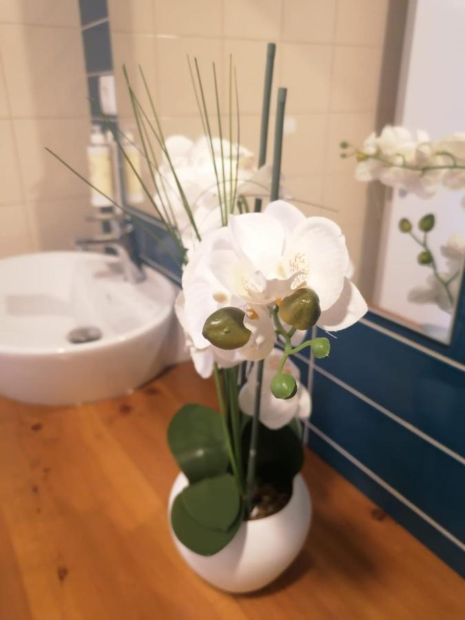 Apartamento Graciosa - Sta Catarina Place 蓬塔德尔加达 外观 照片